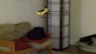 Blade CP Pro flying indoors