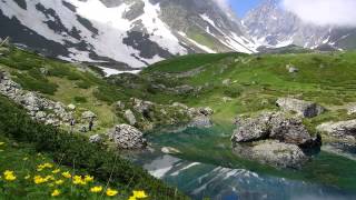 გიორგი ჯაფარიძე -- დარდისას გეტყვი