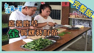 嘉義鹿草【金貴秋葵好茶】 │2019.09.17│《台灣第一等》完整版