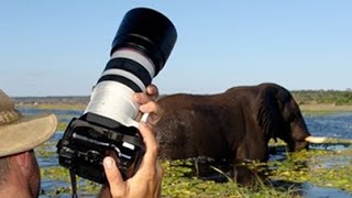 What Camera and Lens to Take on Safari for Wildlife?