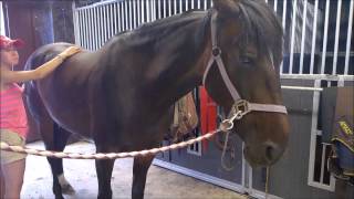 Roosa O.T.E. Hieronta 10.7.2014
