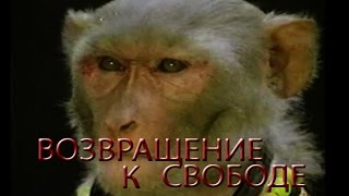 Возвращение к свободе (Индия) Return to liberty (İNDİA) 1986