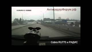 Cobra и Radis