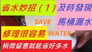 省水妙招（1）及時發現馬桶漏水，趕快換掉馬桶塞 -- 稍微留意就能省好多水--SAVE WATER FROM TOILET FLAPPER!
