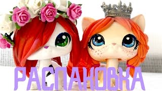 LPS:РАСПАКОВКА С PILIMON (2...да ладно)|СКИДЫВАЕМСЯ НА ОБУЧЕНИЕ