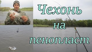 Чехонь на пенопласт. Ловля на фидер весной
