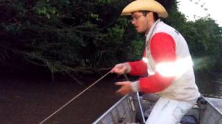 Jaú de 70kg pego no rio Aquidauana em Rochedo