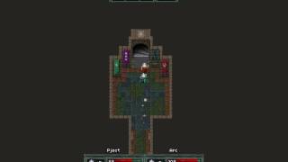 Hammerwatch co-op any% speedrun 27:02