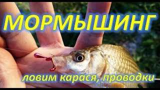 МОРМЫШИНГ, КАРАСЬ, ПРОВОДКИ