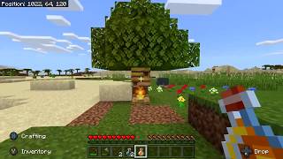 Minecraft - Bee our guest