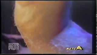 rtm recanati reteA cicciolina ilona staller 1984 "ciao eva"