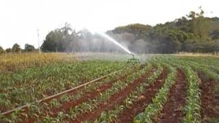 IRRIGAÇÃO PENAPOLIS HIDROTURBO MOD IP63-250 E1R2
