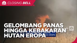 Gelombang Panas Ekstrem Disertai Krisis Kebakaran Hutan Melanda Eropa