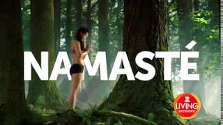 Namaste Yoga-Strengthen Your Mind & Body