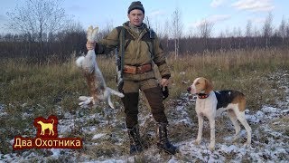 Охота на зайца. Выпуск 7. Сезон 2017-2018г.