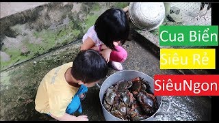 Bé Khám Phá Biển Thạnh Phú Bến Tre - Mua Cua Siêu Rẻ Siêu Ngon - NhiBi Channel