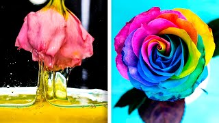 Amazing Flower Hacks || Easy Growing Plant Hacks For Your Inner Gardener