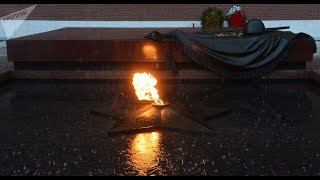 Возложение цветов к Могиле Неизвестного Солдата