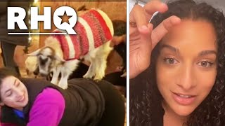 'Hip-Hop Goat Yoga' Proves Woke Companies Aren't