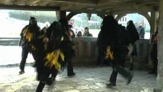 Mythago Morris - Star of the County Down