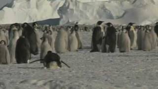 Climate Change Conference to Open In Copenhagen