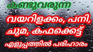 78- ഇപ്പോൾ നാട്ടിൽ കണ്ട് വരുന്ന പനി, വയറിളക്കം, കഫക്കെട്ട്