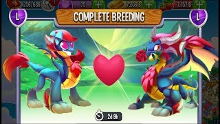 Viktoria Dragon vs Viktor Dragon | Dragon City [RARE BREEDING DRAGON]