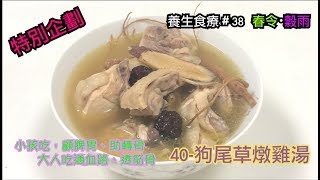 40.狗尾草燉雞湯 /狗尾雞｜ 春天・穀雨 ｜【特別企劃】 養生食療、養生食譜 38 #轉骨方 #狗尾雞 #九尾雞