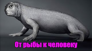 От рыбы к человеку?
