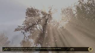 Fallout 76