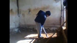 Пол  Реставрация Конюшня 3