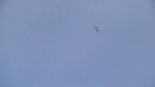 RC Model SUPER CHIPMUNK. Engine SUPER TIGRE G - 51