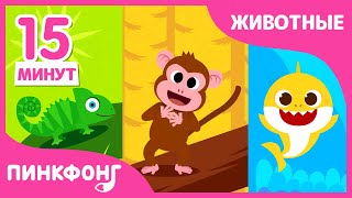 Как поют животные? | +Сборник | Песни про животные | Пинкфонг Песни для Детей
