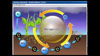 CBSE Class 9 Science, Natural Resources -2, Biogeochemical Cycles
