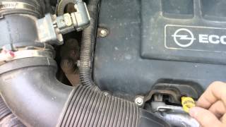 Скрип в двигателе Opel Meriva B II 1.4 ecoFlex