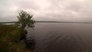 Учимся ловить на TINY MAGALLON Ловля щуки, проводка !