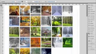 Фильтр Adobe Muse. Выпадающий список, групповой флажок. Начало создания фильтра.