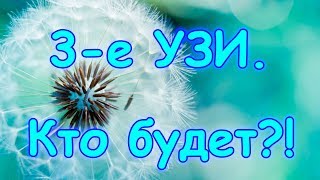 Были на 3-ем УЗИ. Кто будет? Как себя чувствую. (08.17г.) Семья Бровченко.
