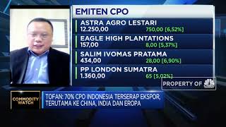 Hadapi Diskriminasi Pasar Global, PR Utama Komoditas CPO RI