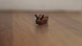Crushed cockroach