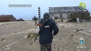 Тазовчанин пойдет под суд за убийство белого медведя. Видео