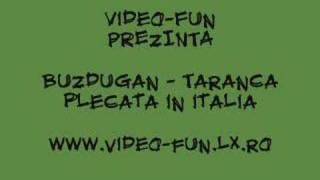 VideoFUN.RO.TL - Buzdugan - Taranca plecata in italia