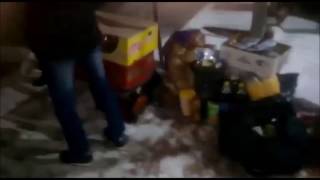 Рязанцы уносят товар с помойки магазина Пятёрочка)