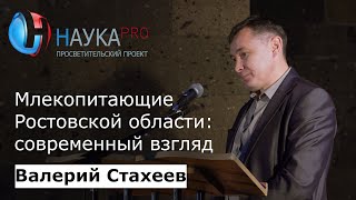 Валерий Стахеев - Млекопитающие Ростовской области