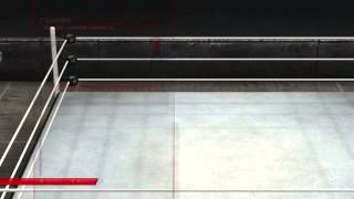 WWE2k14 Paige Moveset