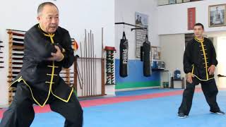Mestre Li Feilin e Shifu Luiz Leonardo - Taiji Tanglang Quan - Brasil 2019