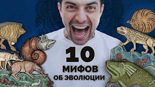10 мифов об эволюции