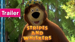 Masha and The Bear - Stripes and Whiskers (Trailer)