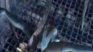 devil may cry t-bag