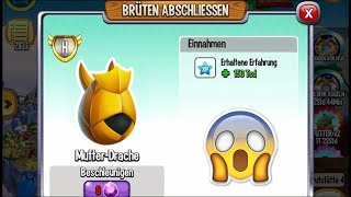 Welcome to a New Member: PURE GOLD DRAGON | Dragon City [Exclusive Dragon]